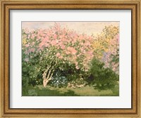 Lilac in the Sun, 1873 Fine Art Print