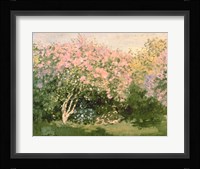 Lilac in the Sun, 1873 Fine Art Print