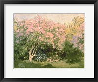 Lilac in the Sun, 1873 Fine Art Print