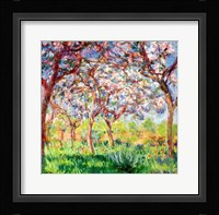Printemps a Giverny, 1903 Framed Print