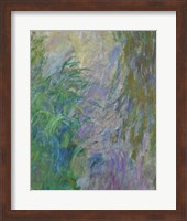 Waterlilies (green & purple) Fine Art Print