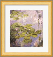 Nympheas, 1916-19 Fine Art Print