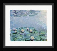 Water Lilies Framed Print