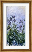 Purple Irises, 1914-17 Fine Art Print