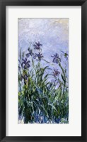 Purple Irises, 1914-17 Framed Print