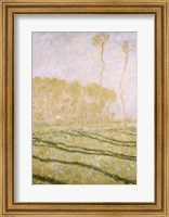 Spring Countryside at Giverny, 1894 Fine Art Print