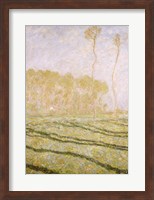 Spring Countryside at Giverny, 1894 Fine Art Print