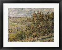 Apple Blossom Fine Art Print