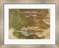 Water Lilies, Reflected Willow, c.1920 Fine Art Print