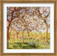 Spring at Giverny Fine Art Print