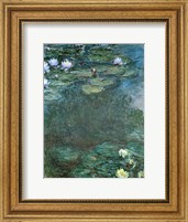 Water-Lilies Fine Art Print