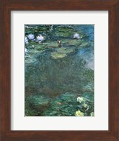 Water-Lilies Fine Art Print