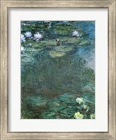 Water-Lilies Fine Art Print