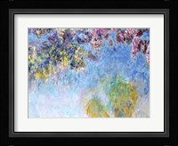Wisteria, 1920-25 Fine Art Print