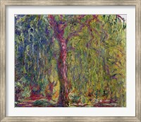 Weeping Willow, 1918-19 Fine Art Print