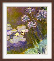 Waterlilies and Agapanthus, 1914-17 Fine Art Print
