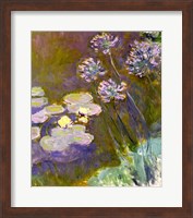 Waterlilies and Agapanthus, 1914-17 Fine Art Print