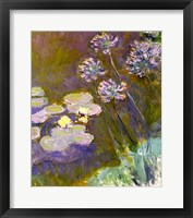 Waterlilies and Agapanthus, 1914-17 Fine Art Print