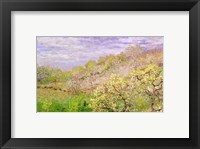 Trees in Blossom Fine Art Print