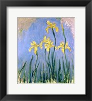 The Yellow Irises, c.1918-25 Fine Art Print