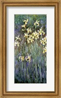 The Yellow Irises Fine Art Print