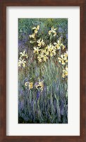 The Yellow Irises Fine Art Print