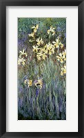 The Yellow Irises Framed Print