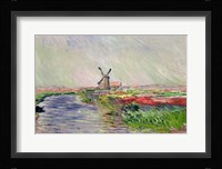 Tulip Field in Holland Fine Art Print