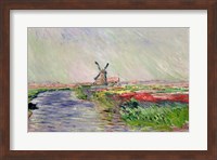 Tulip Field in Holland Fine Art Print