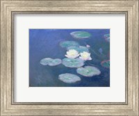 Waterlilies, Evening Fine Art Print
