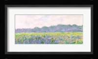 Field of Yellow Irises at Giverny, 1887 Fine Art Print