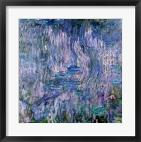 Waterlilies and Reflections of a Willow Tree Fine Art Print