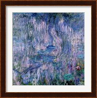 Waterlilies and Reflections of a Willow Tree Fine Art Print