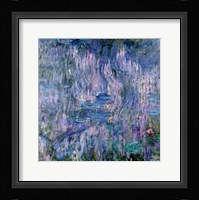 Waterlilies and Reflections of a Willow Tree Framed Print