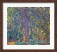 Weeping Willow, 1918-19 Fine Art Print