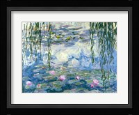 Waterlilies, 1916-19 Framed Print