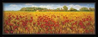 Campo di papaveri Fine Art Print
