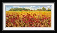 Campo di papaveri Fine Art Print