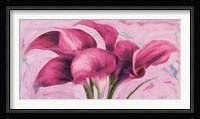 Purple Callas Fine Art Print