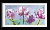 Lilac Tulips Fine Art Print