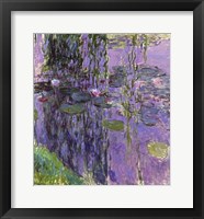 Nympheas - Detail Fine Art Print