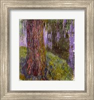 Weeping Willow and the Waterlily Pond Fine Art Print
