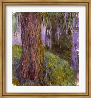 Weeping Willow and the Waterlily Pond Fine Art Print