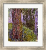 Weeping Willow and the Waterlily Pond Fine Art Print