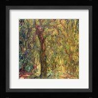 Weeping Willow green Framed Print