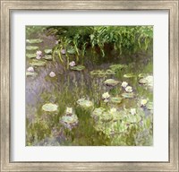Waterlilies at Midday, 1918 Fine Art Print