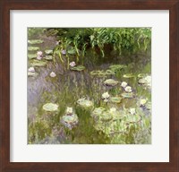 Waterlilies at Midday, 1918 Fine Art Print