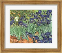 Irises, 1889 Fine Art Print