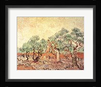 The Olive Grove, 1889 Fine Art Print