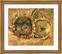 Two Cut Sunflowers, 1887 Fine Art Print
